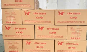 Cồn thạch Hà Nội giá rẻ mua ở đâu